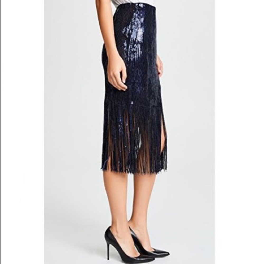Endless Rose Sequin Fringed Skirt - Picture 3 of 8